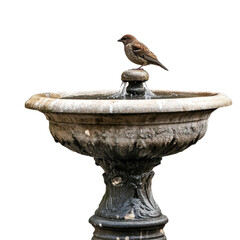 Bird perched on top of a fountain while water gently flows in a serene outdoor setting, fountain with water and a bird perched on top, white background