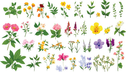 A Big watercolor floral package collection. Use by fabric, fashion, wedding invitation, template, poster, romance, greeting, spring, bouquet, pattern, decoration and textile.	