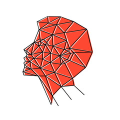 Human face from polygons vector illustration