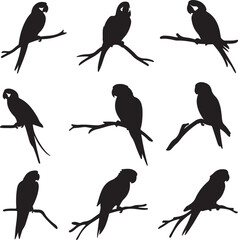 Silhouette Vector Illustration: Nine Parrots Perched on Branches - Bird Silhouettes, Vector Graphics, Animal Silhouettes, Nature Art