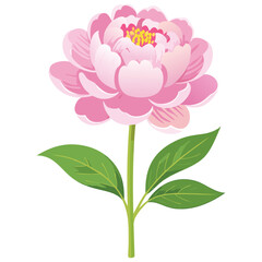 Fototapeta premium Elegant Peony Flower Illustration – Botanical Art for Prints, Design & Decor