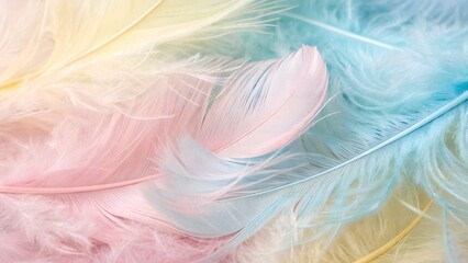 Fototapeta premium Soft fluffy pink feathers show delicate texture and color against a light blue background, a close-up nature design