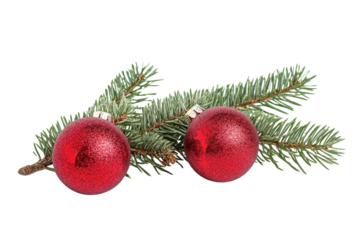 Festive fir tree branch decorated with two shiny red Christmas balls for holiday themed designs