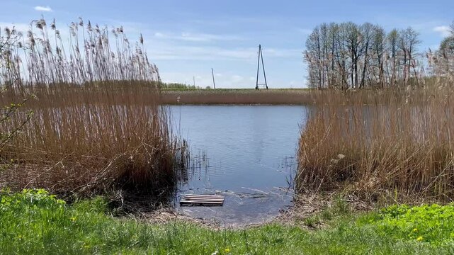 Quiet springtime canal near Doku cemetery with reeds swaying in the breeze under blue sky