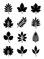 Diverse Leaf Silhouettes Grid: Unique Botanical Icon Set