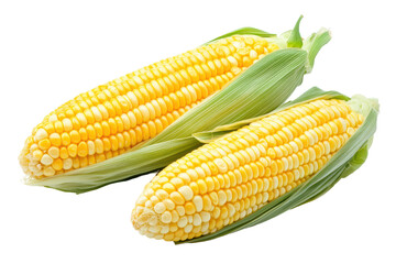 Fresh corn on the cob brings natural sweetness and crunch to every meal or snack