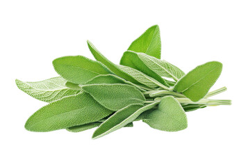 Fresh sage herb leaves perfect for seasoning dishes adding earthy flavor and aromatic depth to meals