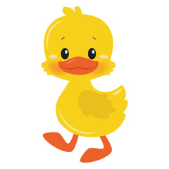 Cute yellow  duckling  vector cartoon illustration