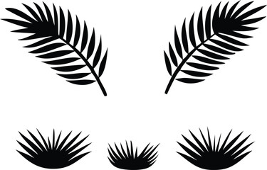 Botanical Design: A minimalist botanical illustration of tropical leaves and ornamental plants, perfect for adding a touch of nature to any design.