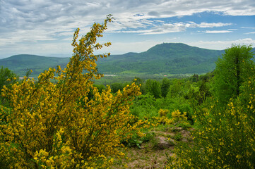 Fr&uuml;hling in den Vogesen bei La Vancelle