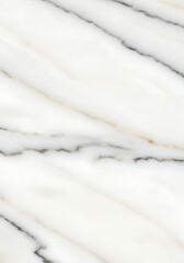 Obraz premium A polished white marble surface enhanced by its unique grey vein formations