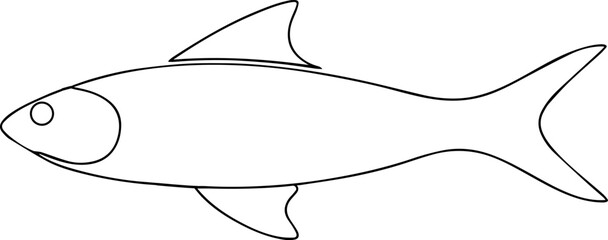 hilsa fish outline one line vector drawing