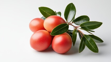 Vibrant Ripe Oranges Nestled Among Fresh Green Leaves in Bright Light