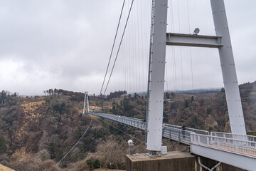 大分県の巨大な吊り橋から見る雄大な自然
