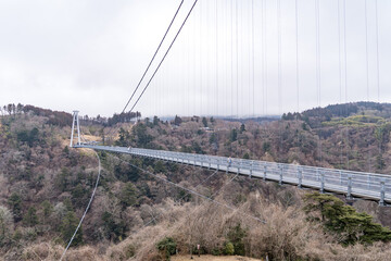 大分県の巨大な吊り橋から見る雄大な自然