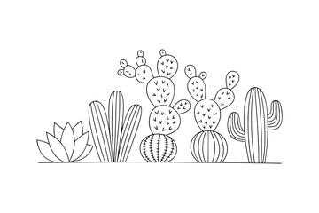 Succulent and cactus plant vector illustration in modern line art style  © Rabea
