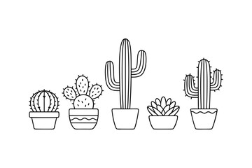 Line style vector drawing of cactus and succulent houseplants in pots