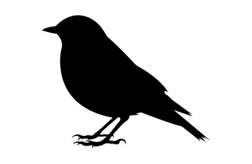 Bird Silhouette Illustration on Transparent Background