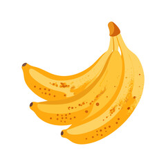 Bananas: The Delicious and Nutritious Fruit
