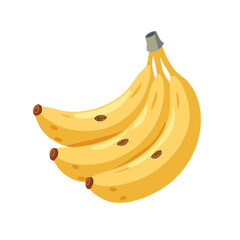 Bananas: The Delicious and Nutritious Fruit