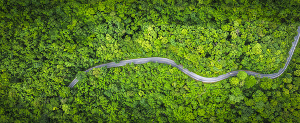 Electric cars to protect the environment and transportation road of Rainforest ecosystem and healthy environment concept , road curve construction up to mountain, panoramic view