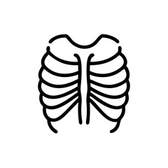 ribs
