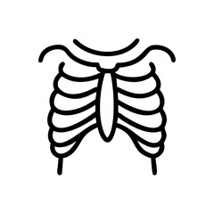 ribs