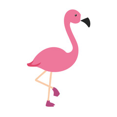 Flamingo: The Elegant Pink Wader