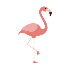 Flamingo: The Elegant Pink Wader