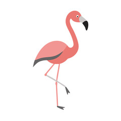 Flamingo: The Elegant Pink Wader
