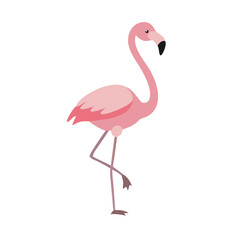 Flamingo: The Elegant Pink Wader