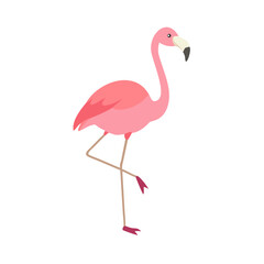 Fototapeta premium Flamingo: The Elegant Pink Wader