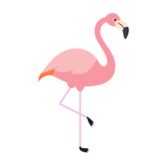Flamingo: The Elegant Pink Wader