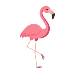 Flamingo: The Elegant Pink Wader