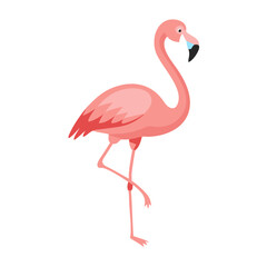 Flamingo: The Elegant Pink Wader