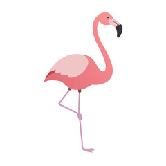 Flamingo: The Elegant Pink Wader