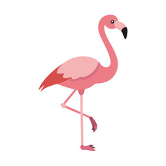 Flamingo: The Elegant Pink Wader