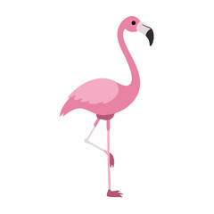 Flamingo: The Elegant Pink Wader