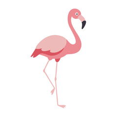 Flamingo: The Elegant Pink Wader