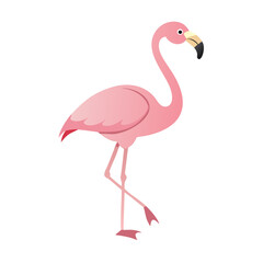 Flamingo: The Elegant Pink Wader