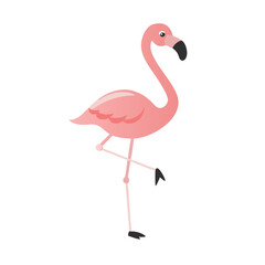 Flamingo: The Elegant Pink Wader