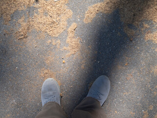 Autumnal Array A Delicate Carpet of Flower Pollen Cascading Over Asphalt and Concrete Surfaces A...
