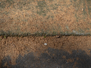 Autumnal Array A Delicate Carpet of Flower Pollen Cascading Over Asphalt and Concrete Surfaces A...