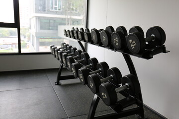 a rack of black dumbbells of varying weights in a gym setting