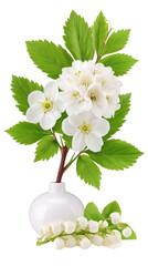 Delicate white flowers bloom on branches, highlighted by fresh green leaves. The arrangement features a minimalist vase, complementing the lily of the valley below, showcasing nature's beauty