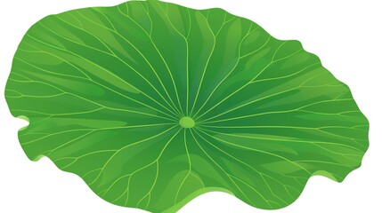 Fototapeta premium A green lotus leaf is prominently isolated on a white background, introducing a concept related to nature and tranquility with the integration of Generative Ai. The vivid green of the lotus leaf again