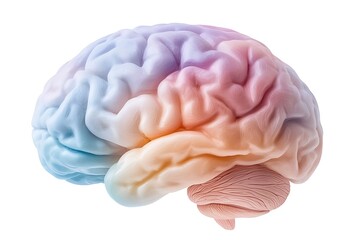 Exploring brain functionality science lab infographic digital aerial view cognitive insights