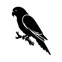 Obraz premium Elegant Black Parrot Silhouette: Vector Graphic