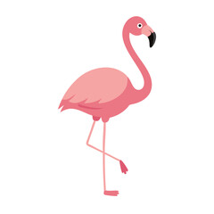 Fototapeta premium Flamingo: The Elegant Pink Wader