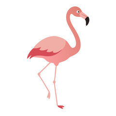Flamingo: The Elegant Pink Wader